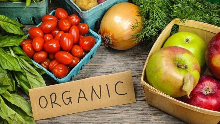 Organic food: Is it Good and Good Enough or Some Bar in It?
